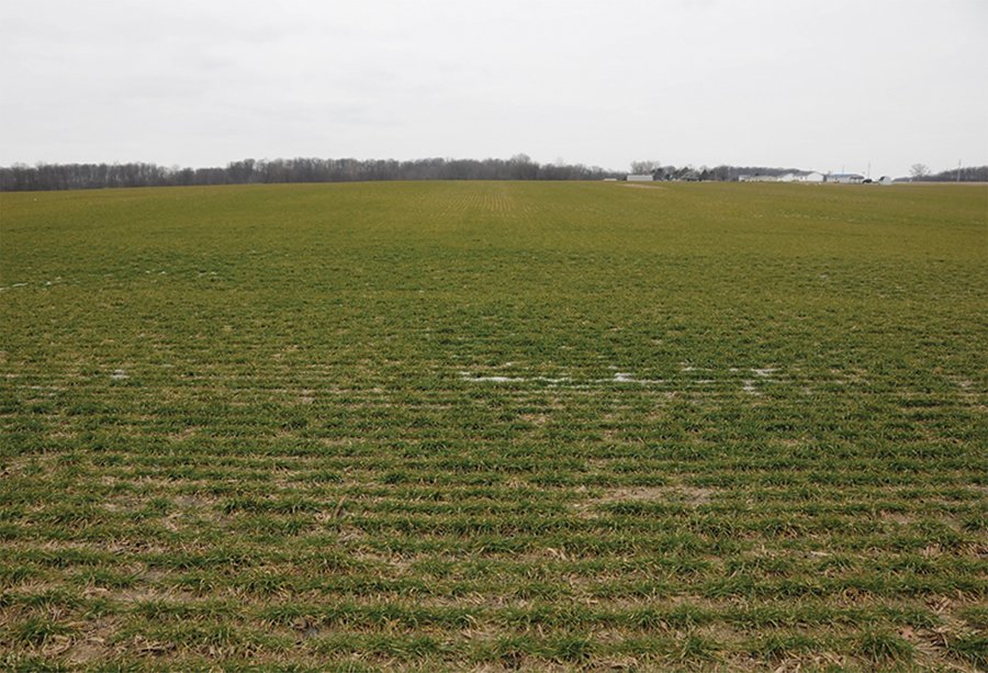 LAND AUCTION - 459+/- ACRES OFFERED IN 12 TRACTS IN DEFIANCE COUNTY, OHIO